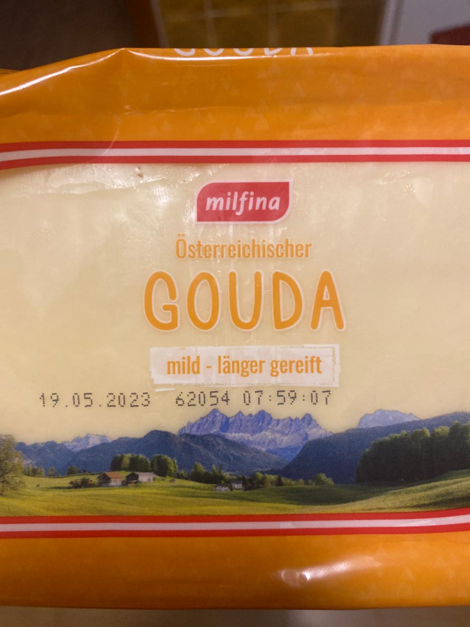 Fotografie - Österreichischer Gouda Milfina