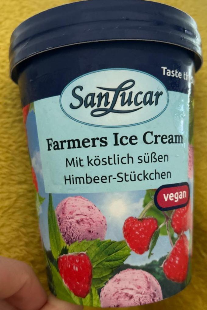 Fotografie - Farmers Ice Cream vegan SanLucar