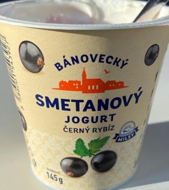 Fotografie - Smotanovy jogurt cierna ribezla Banovecky