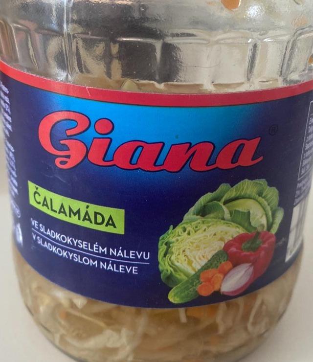 Fotografie - Čalamáda v sladkokyslom náleve Giana