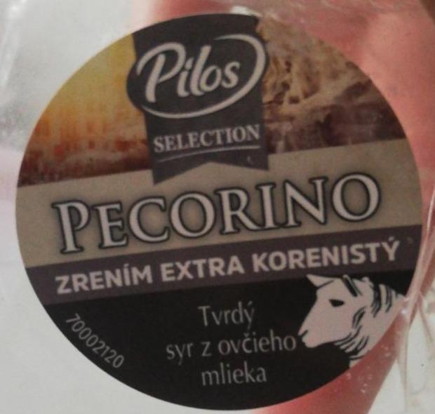 Fotografie - Pecorino Pilos