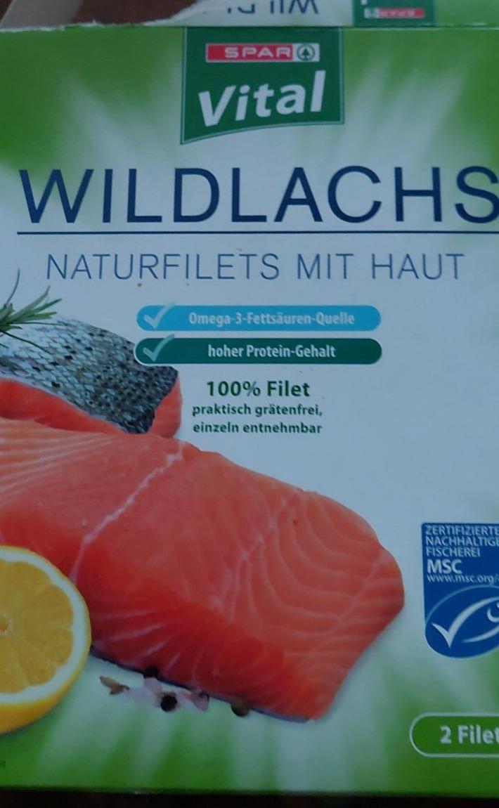 Fotografie - Wildlachs Naturfilets mit Haut Spar