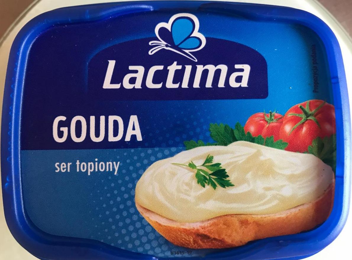 Fotografie - Syr tavený Gouda Lactima