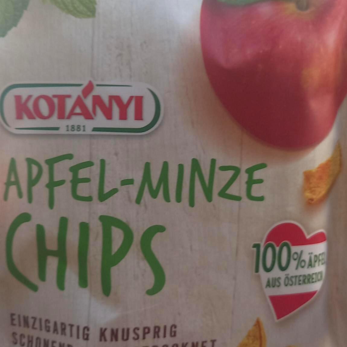 Fotografie - Apfel-Minze Chips Kotányi