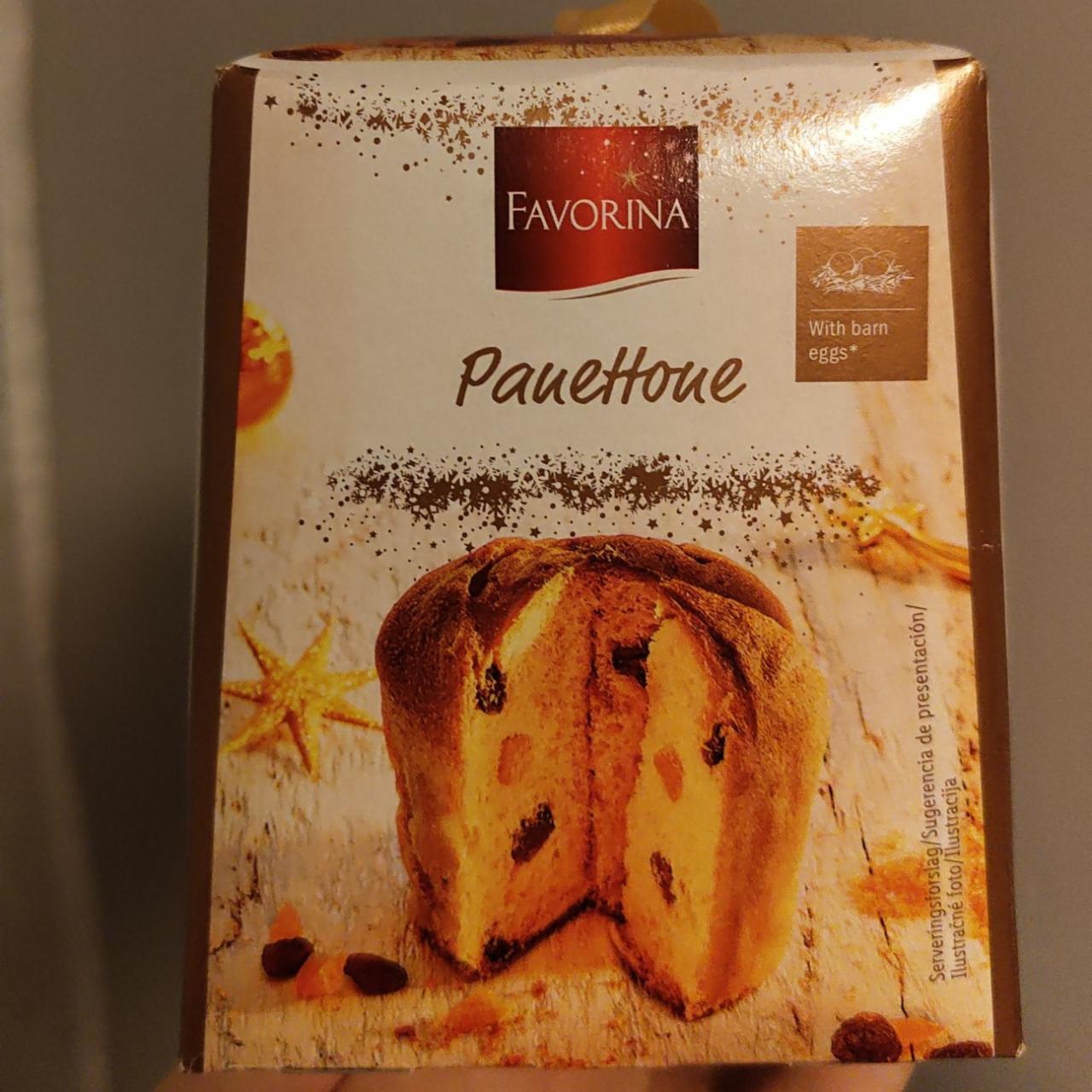 Fotografie - Panettone Favorina