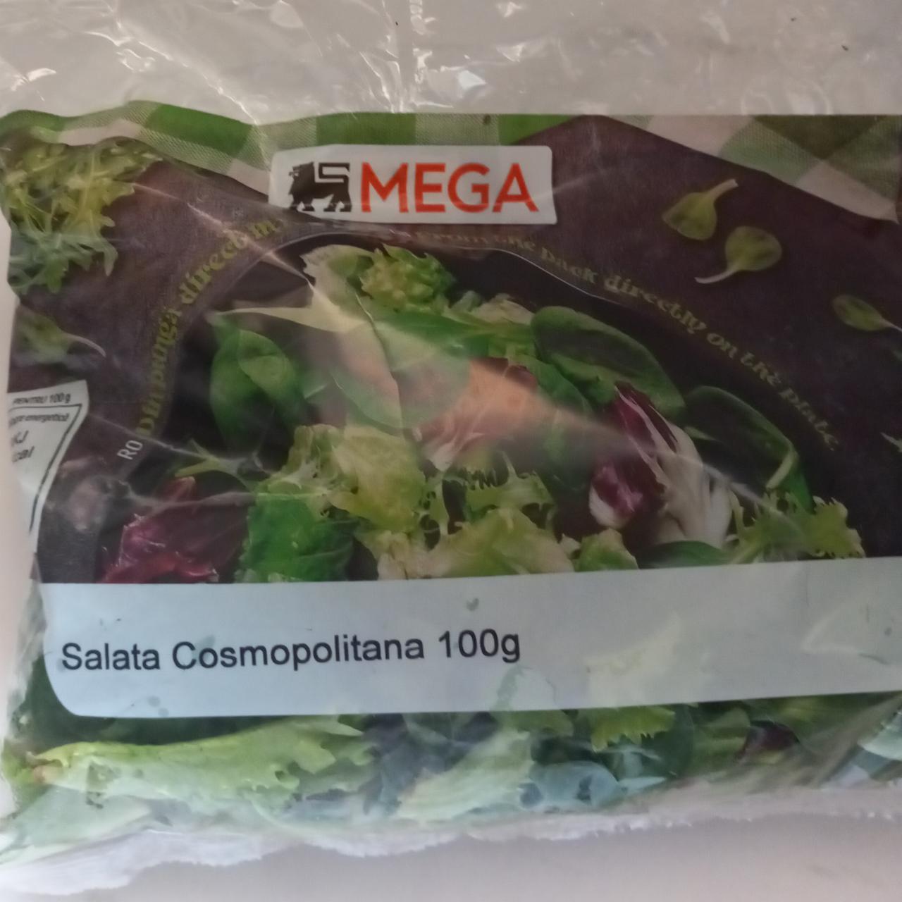 Fotografie - Salata Cosmopolitana Mega