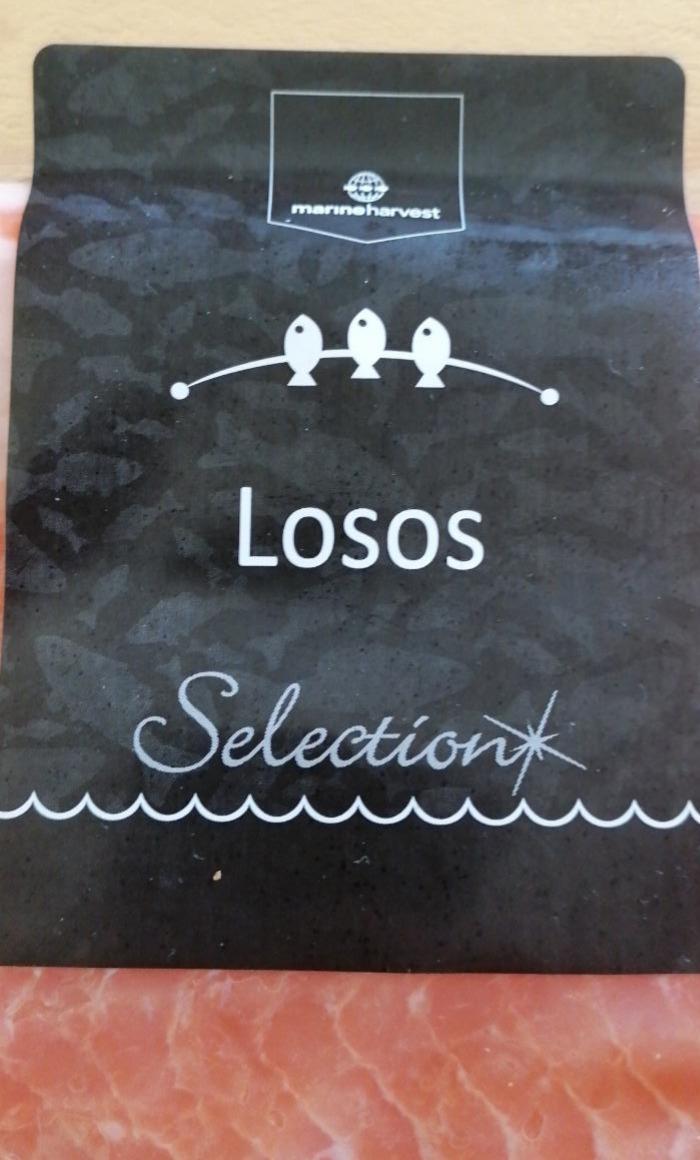 Fotografie - Losos Selection filet z lososa atlantického s kožou