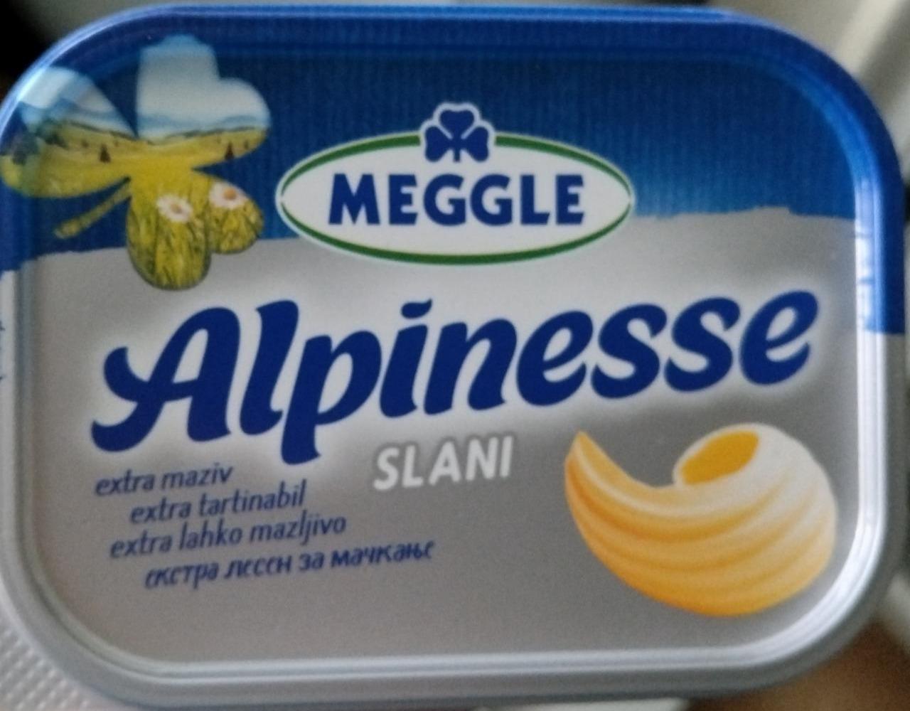 Fotografie - Alpinesse slani Meggle