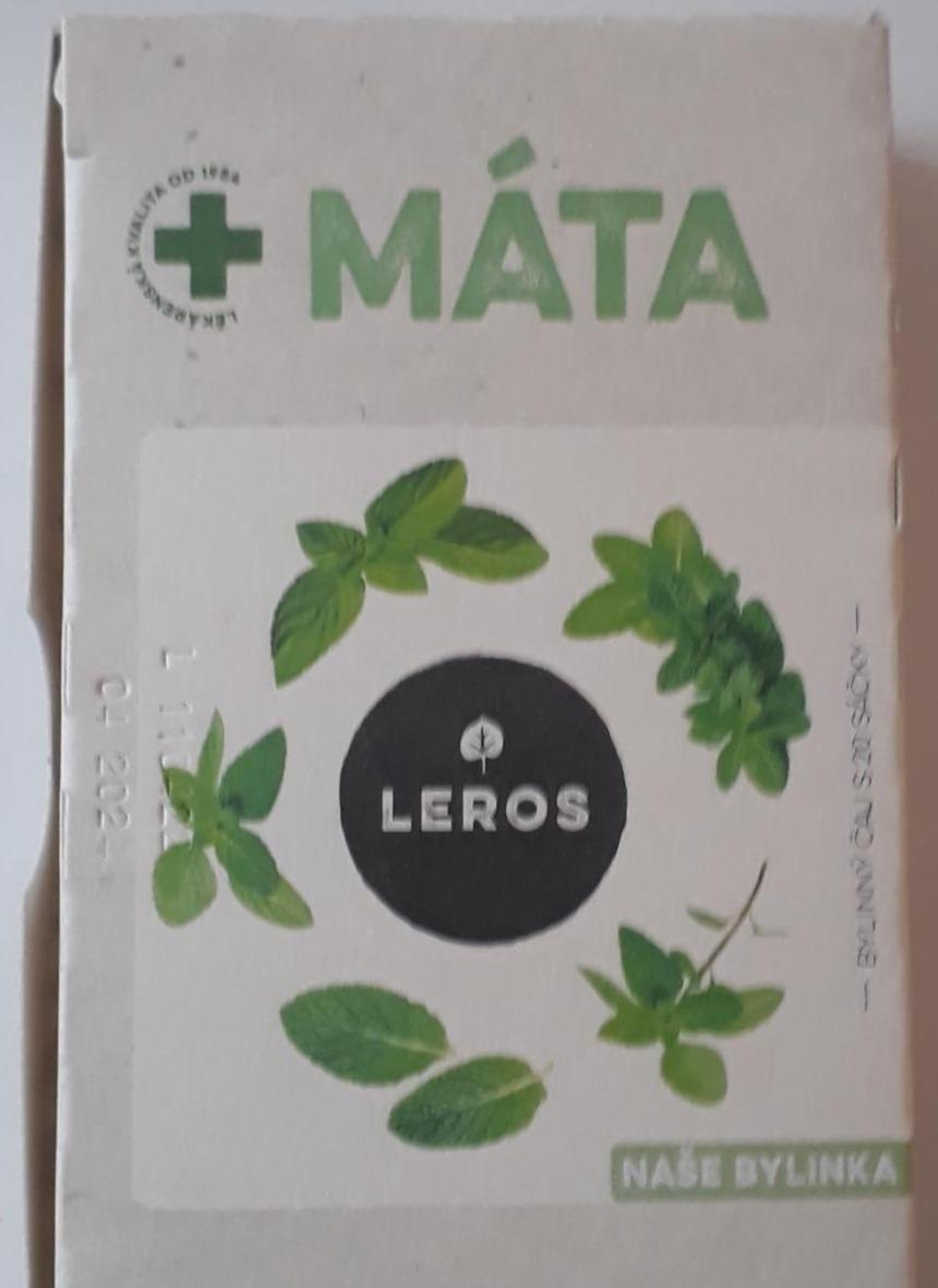 Fotografie - Leros Máta