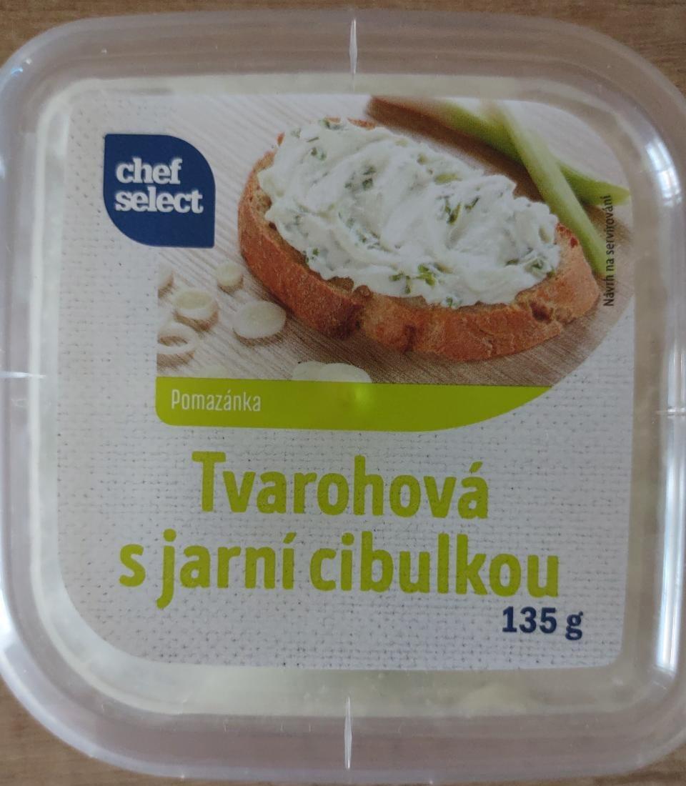 Fotografie - Pomazánka Tvarohová s jarní cibulkou Chef Select