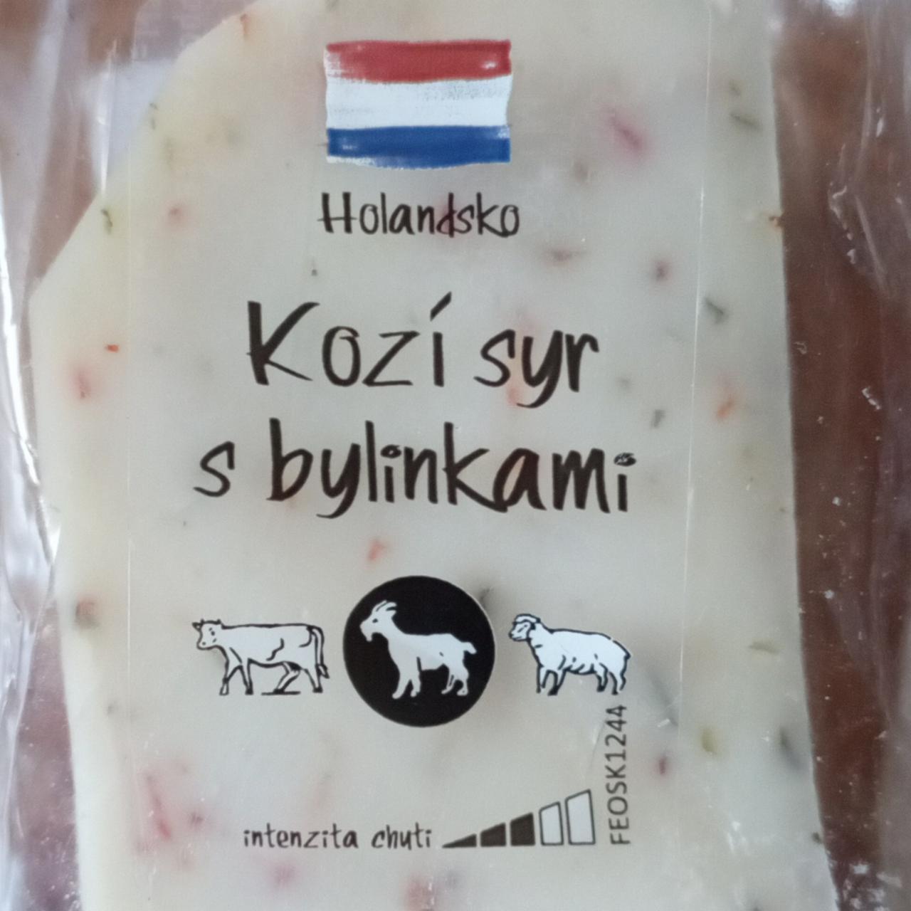 Fotografie - Kozí syr s bylinkami Holandsko