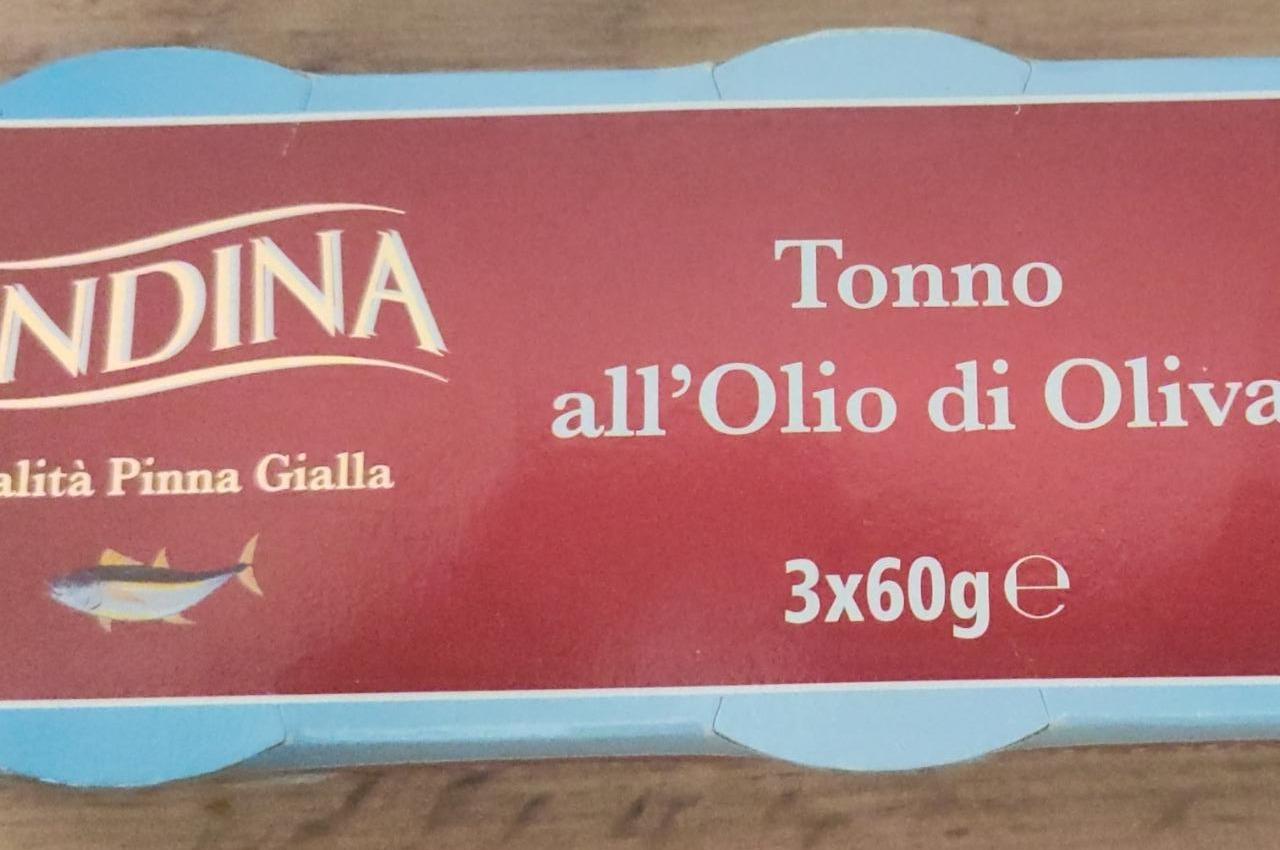 Fotografie - Tonno all’Olio di Oliva Ondina