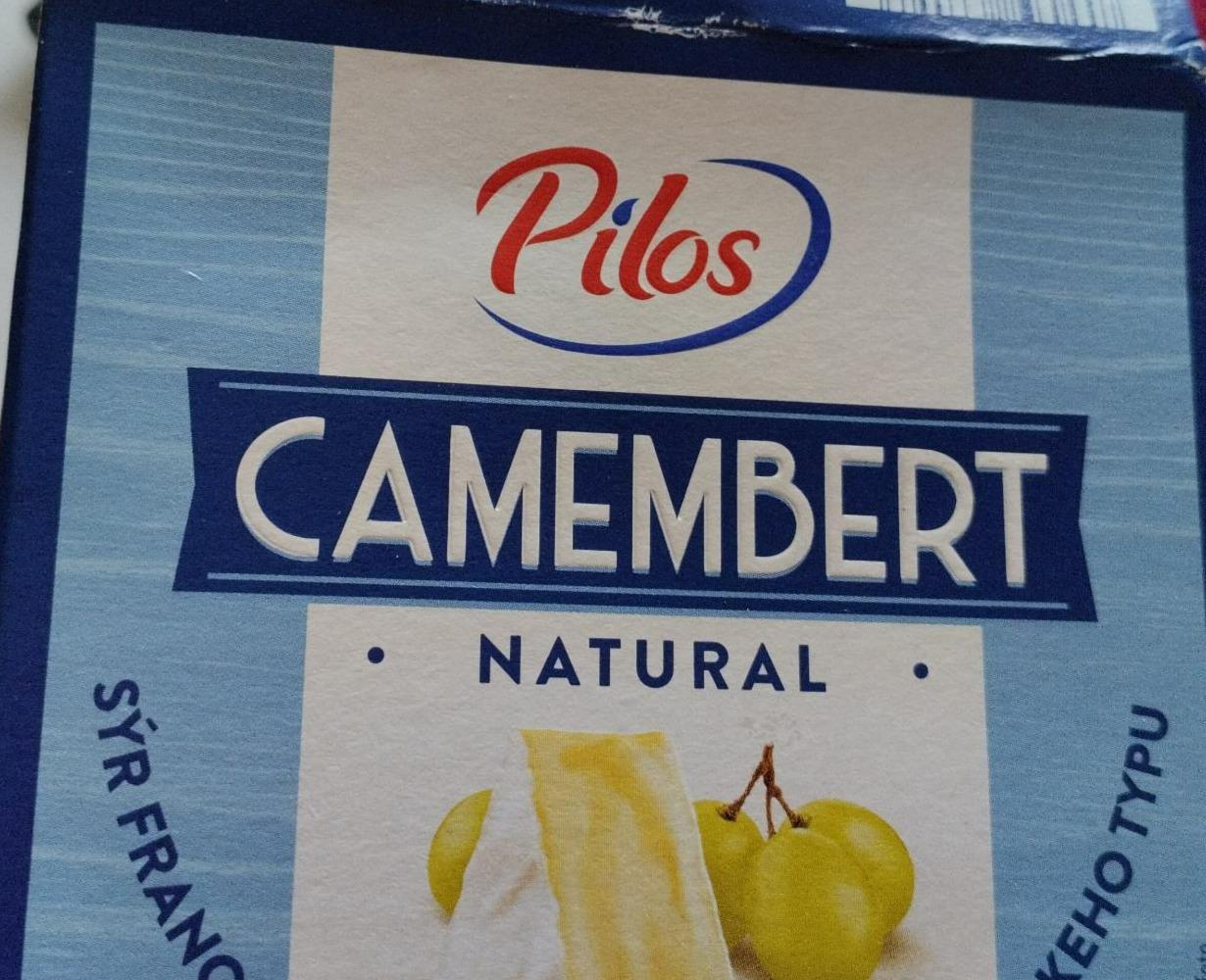 Fotografie - Camembert Natural Pilos