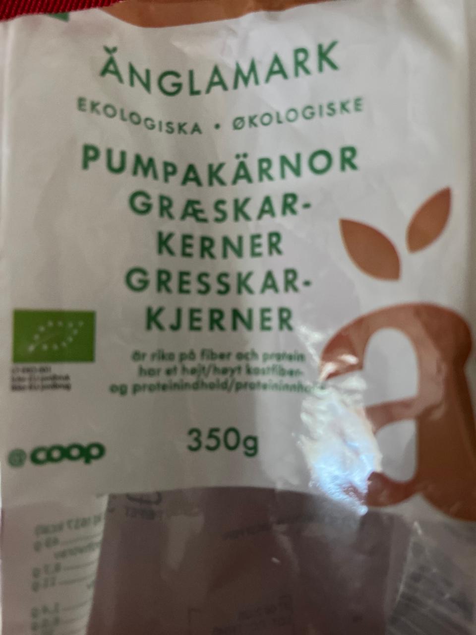 Fotografie - Pumpakärnor Anglamark