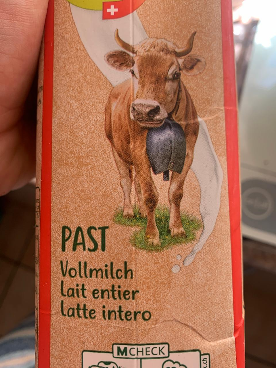 Fotografie - Past Vollmilch