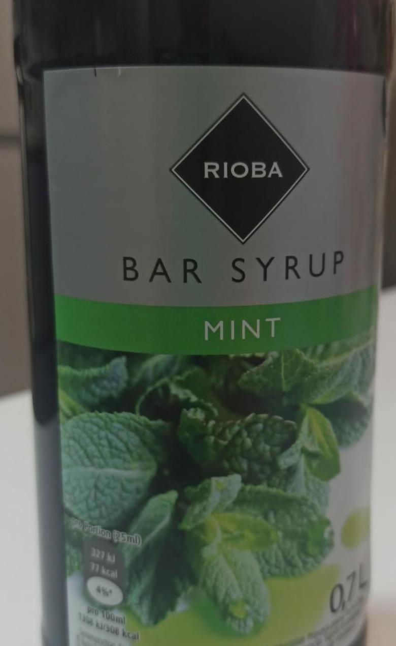 Fotografie - Bar syrup Mint Rioba