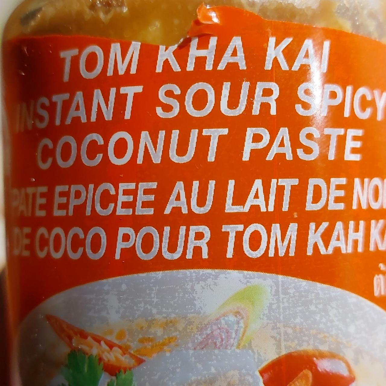 Fotografie - tom kha kai paste