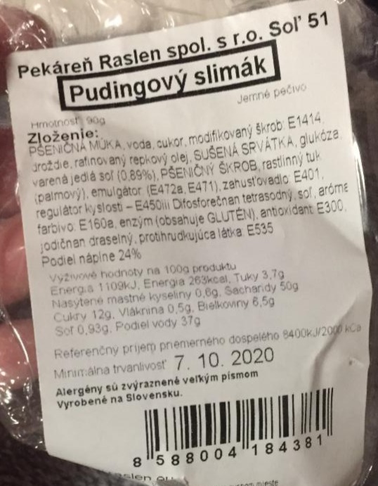 Fotografie - pudingový slimák Raslen