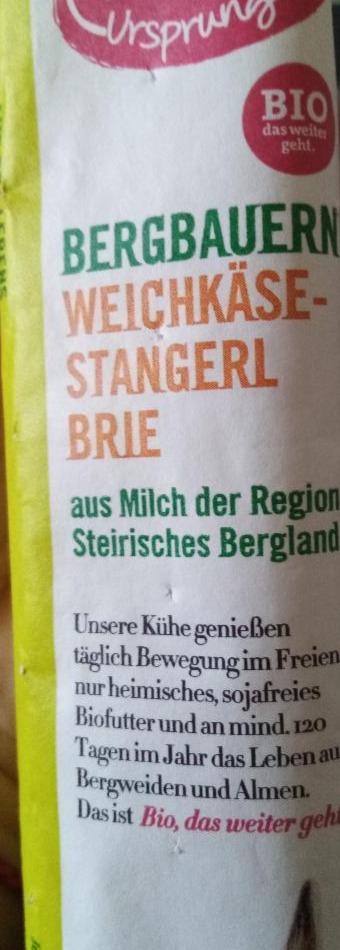 Fotografie - Bergbauern weichkäse Stängel Brie