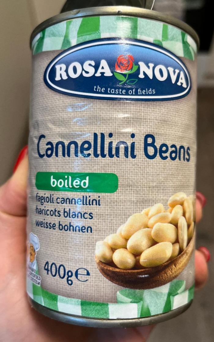 Fotografie - Cannellini Beans boiled Rosa Nova