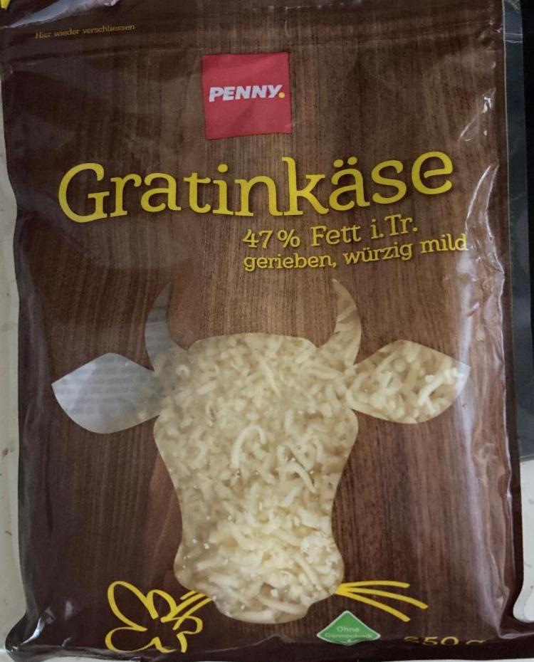 Fotografie - Gratinkäse