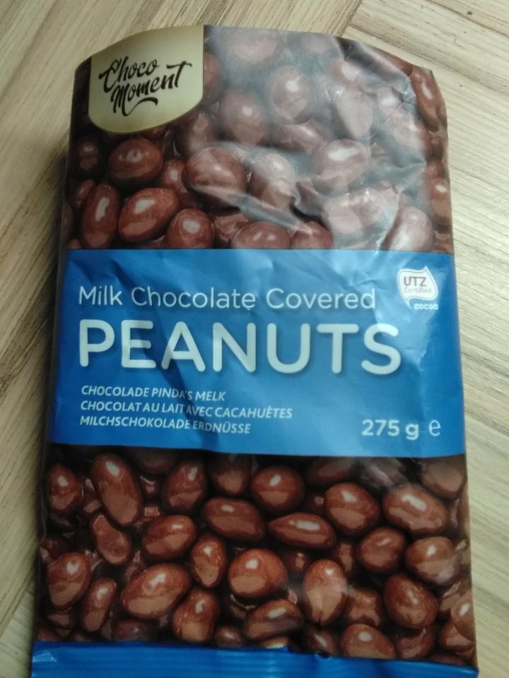 Fotografie - Milk Chocolate Covered Peanuts
