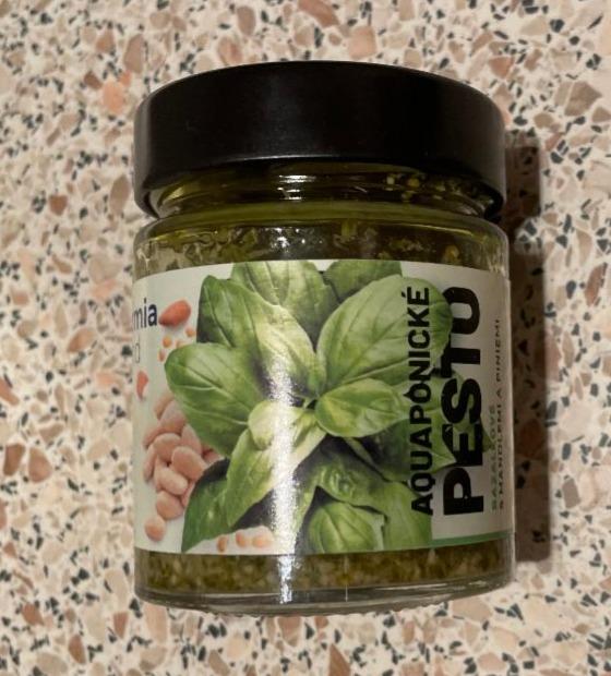 Fotografie - Aquaponické pesto