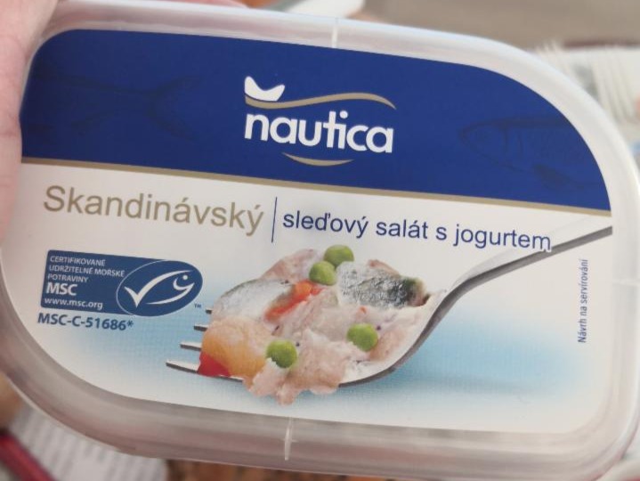 Fotografie - Skandinávský sleďový salát s jogurtem Nautica