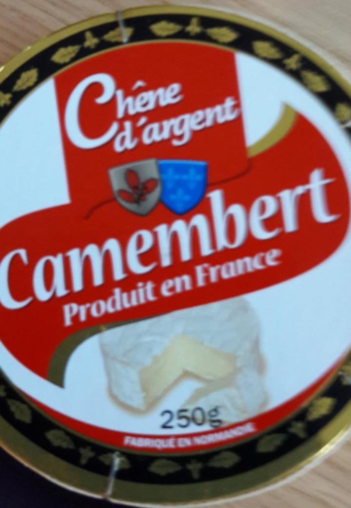 Fotografie - camembert makky plnotucny syr s bielou plesňou