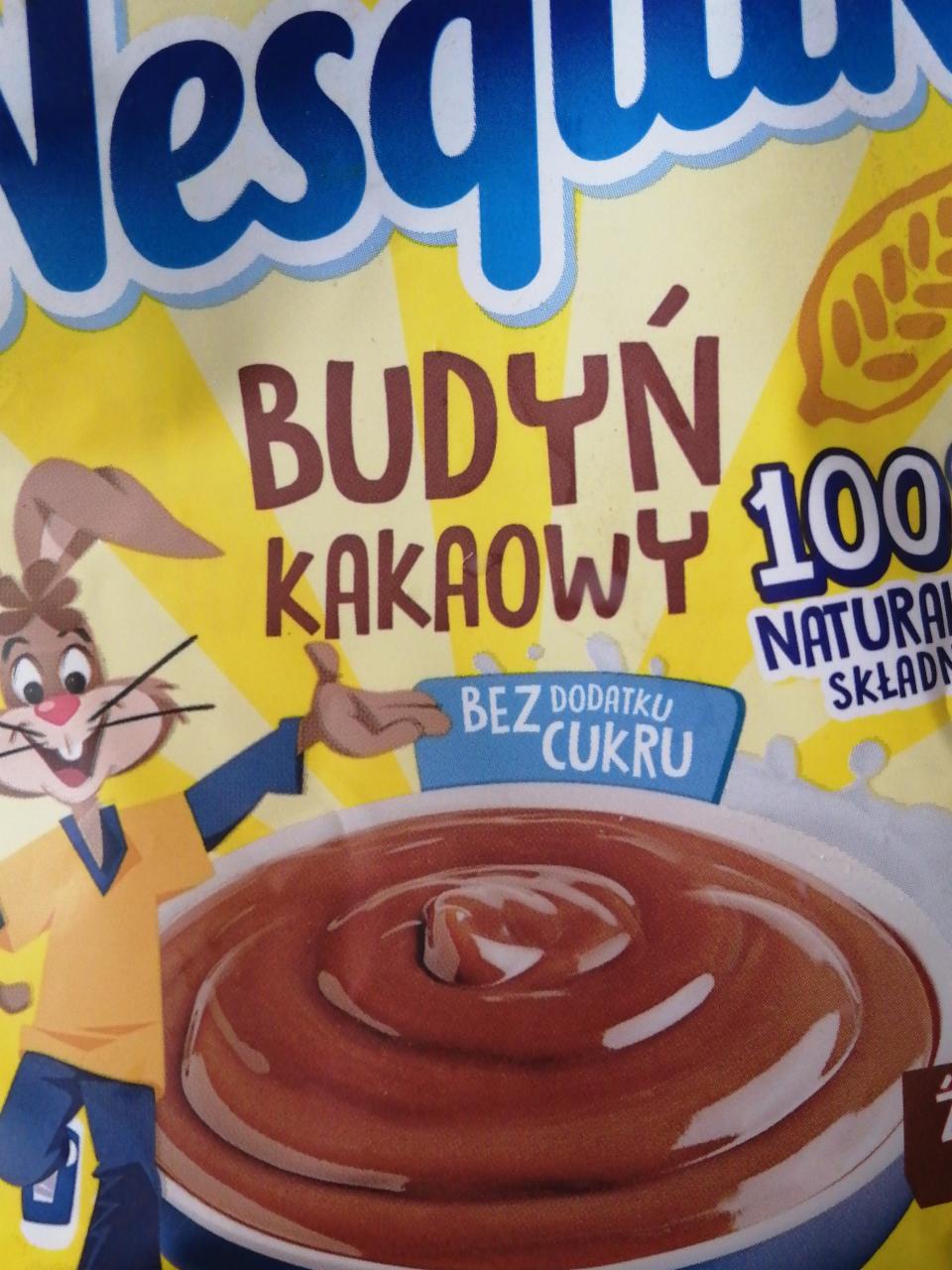 Fotografie - Budyń kakaowy Nesquik