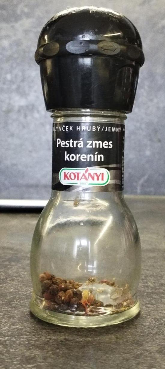 Fotografie - Pestrá zmes korenín Kotányi