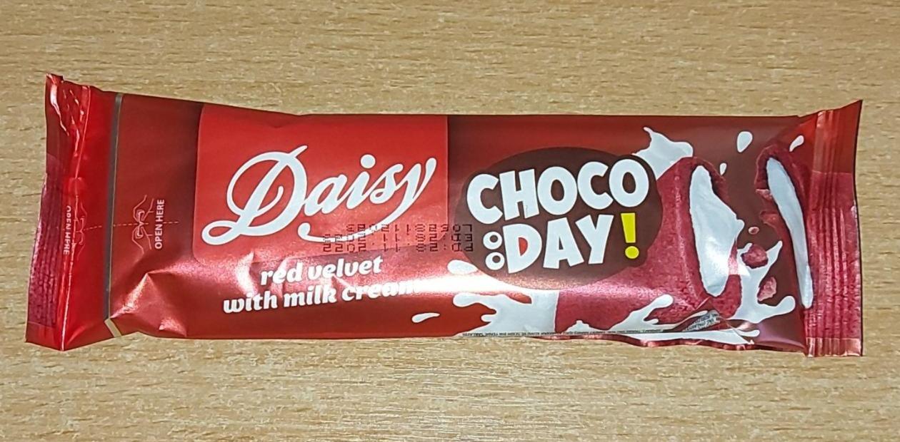 Fotografie - Choco day! Daisy