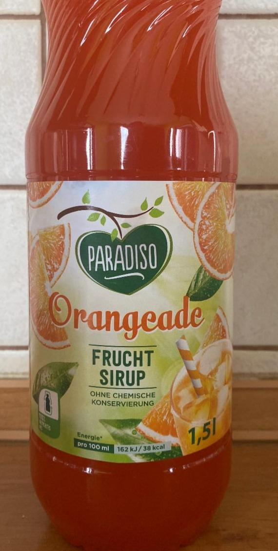 Fotografie - Orangeade Frucht Sirup Paradiso