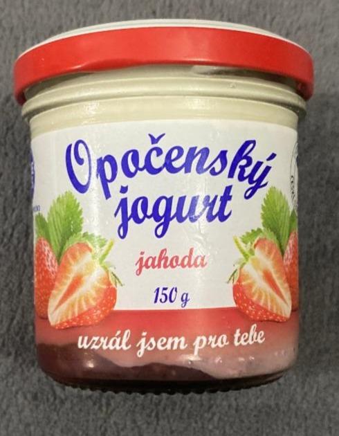 Fotografie - Opočenský jogurt jahoda