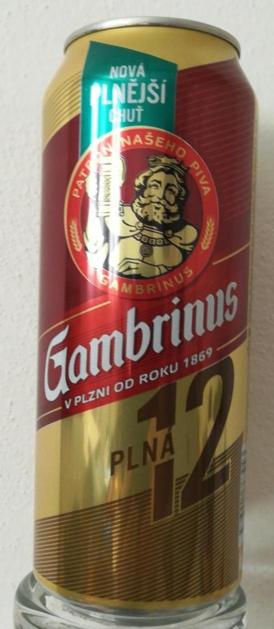 Fotografie - Gambrinus Plná 12°