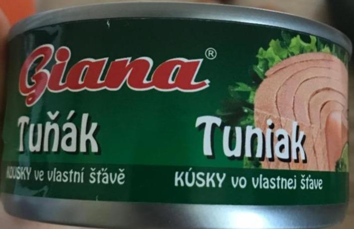 Fotografie - Tuniak kúsky vo vlastnej šťave Giana