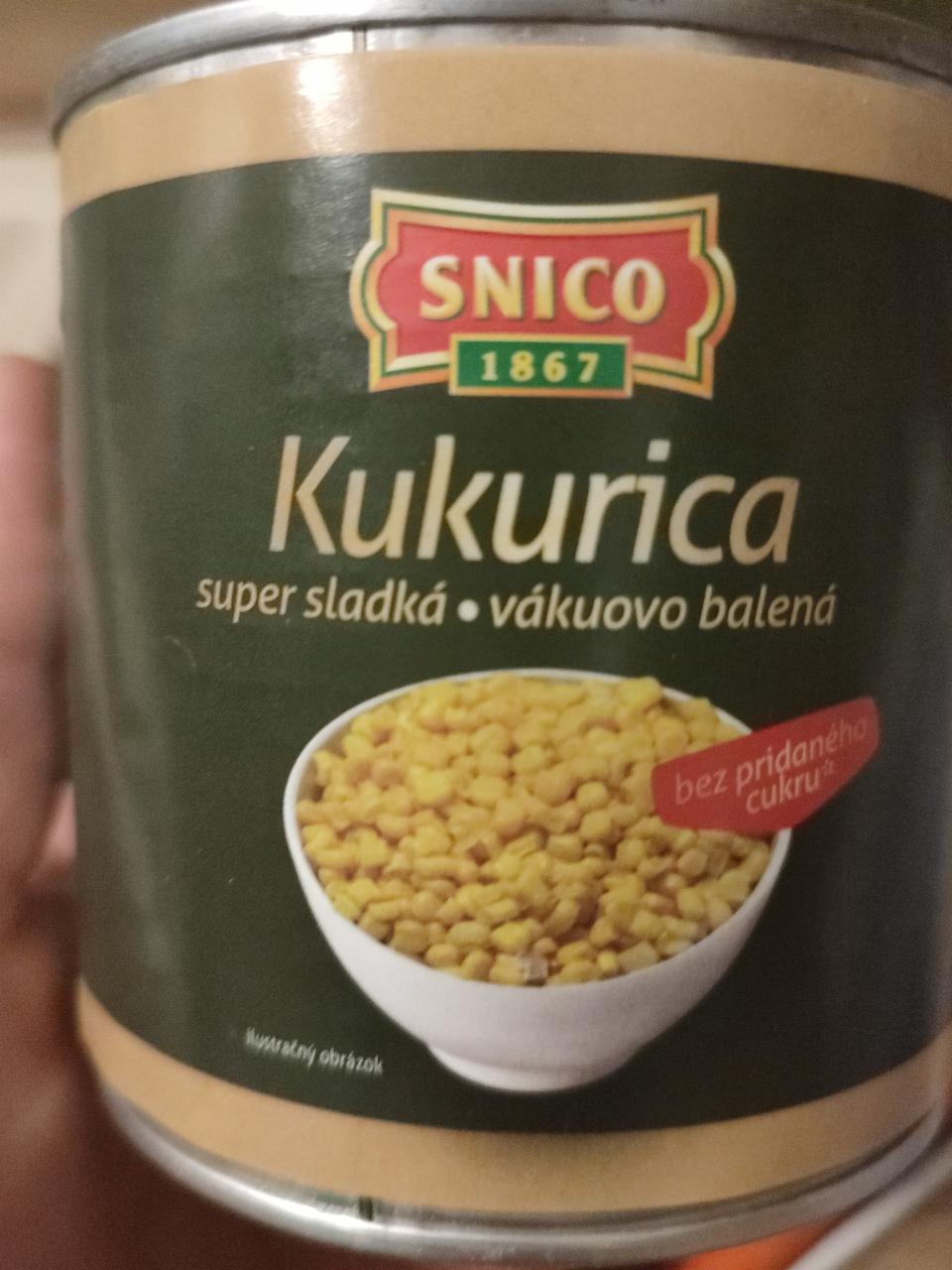 Fotografie - Kukurica super sladká Snico