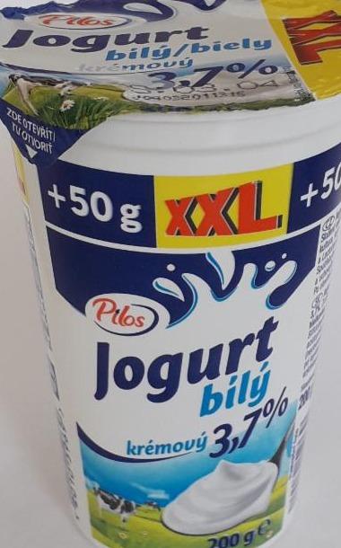 Fotografie - jogurt biely krémový 3,7% Pilos