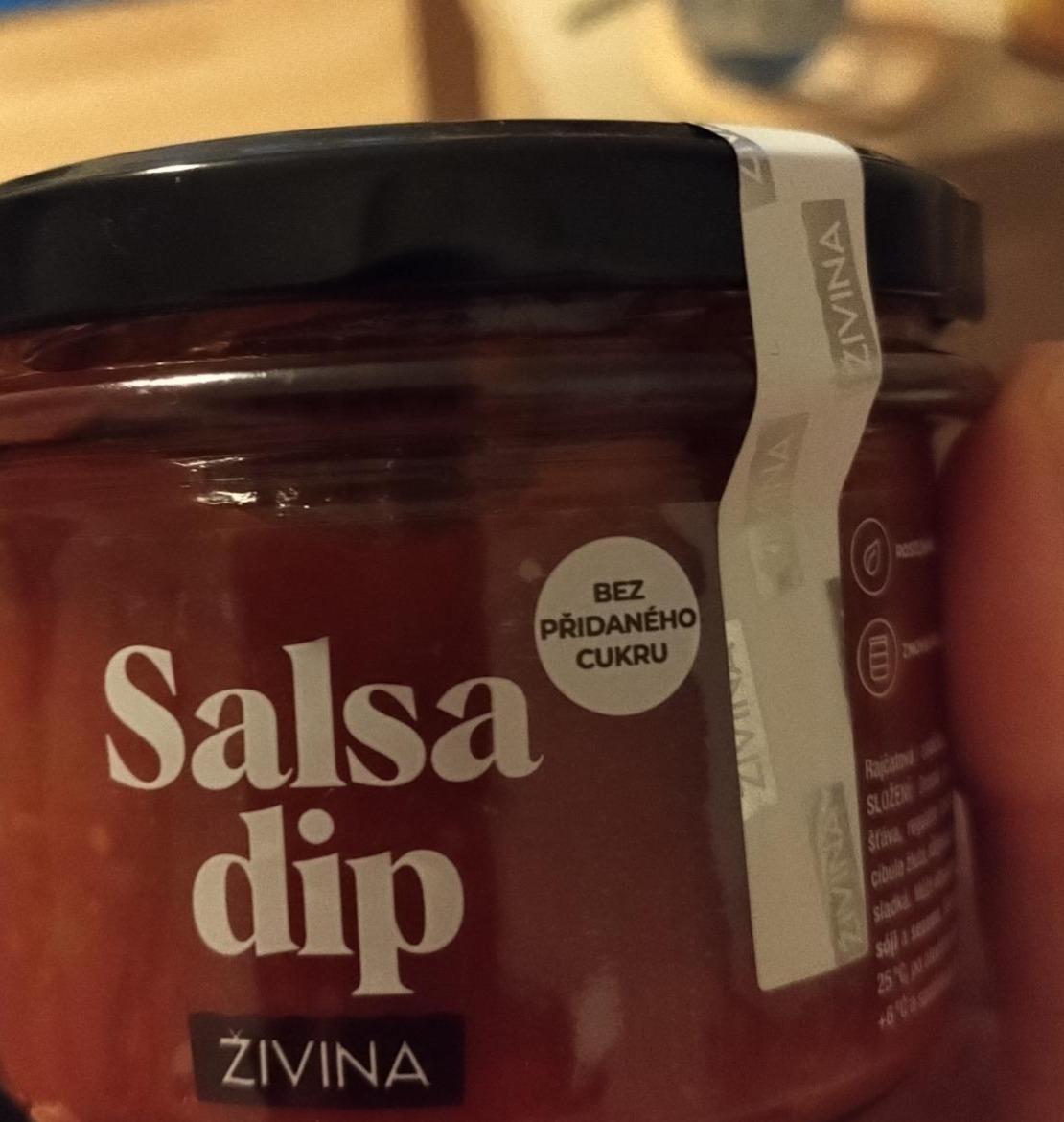 Fotografie - Salsa dip bez přidaného cukru Živina