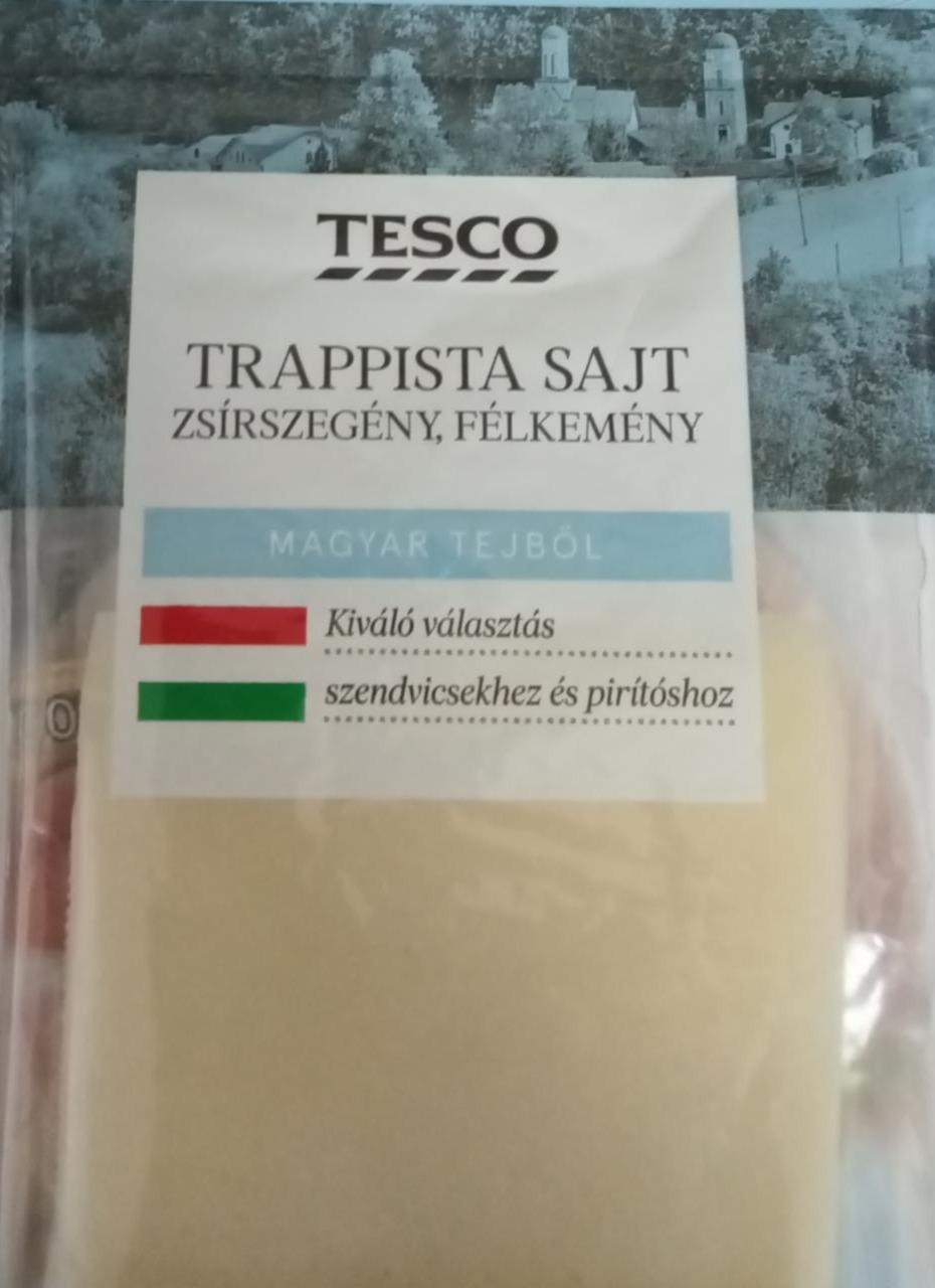 Fotografie - Trappista sajt magyar tejböl (sýr plátkový) Tesco