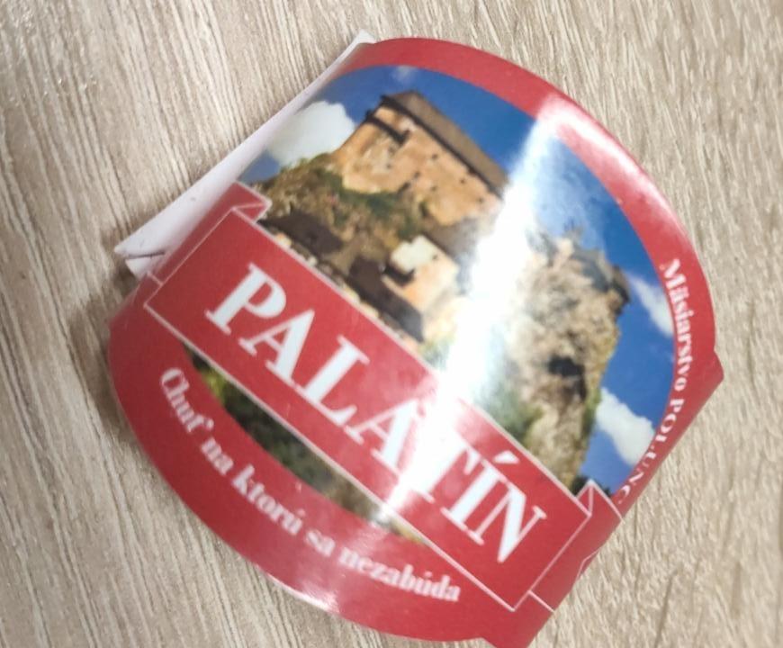 Fotografie - salama palatin