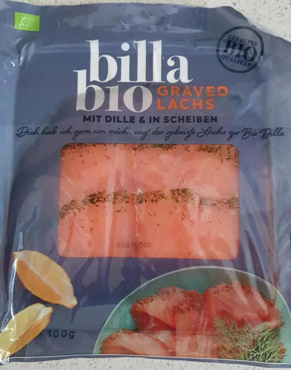 Fotografie - Graved Lachs mit dille & in scheiben Billa Bio