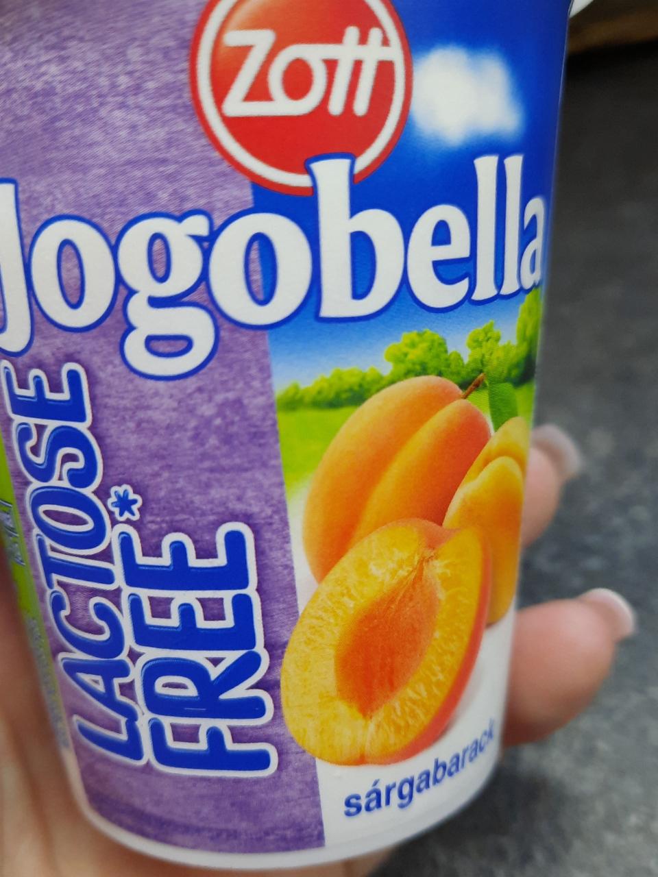 Fotografie - Jogobella Lactose free Marhuľa