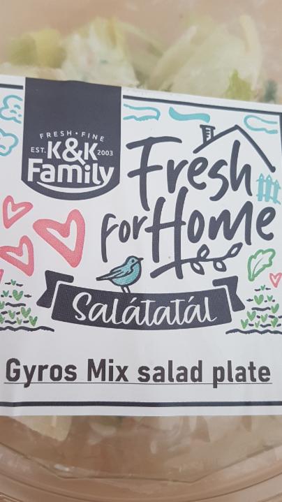 Fotografie - gyros mix salad plate 