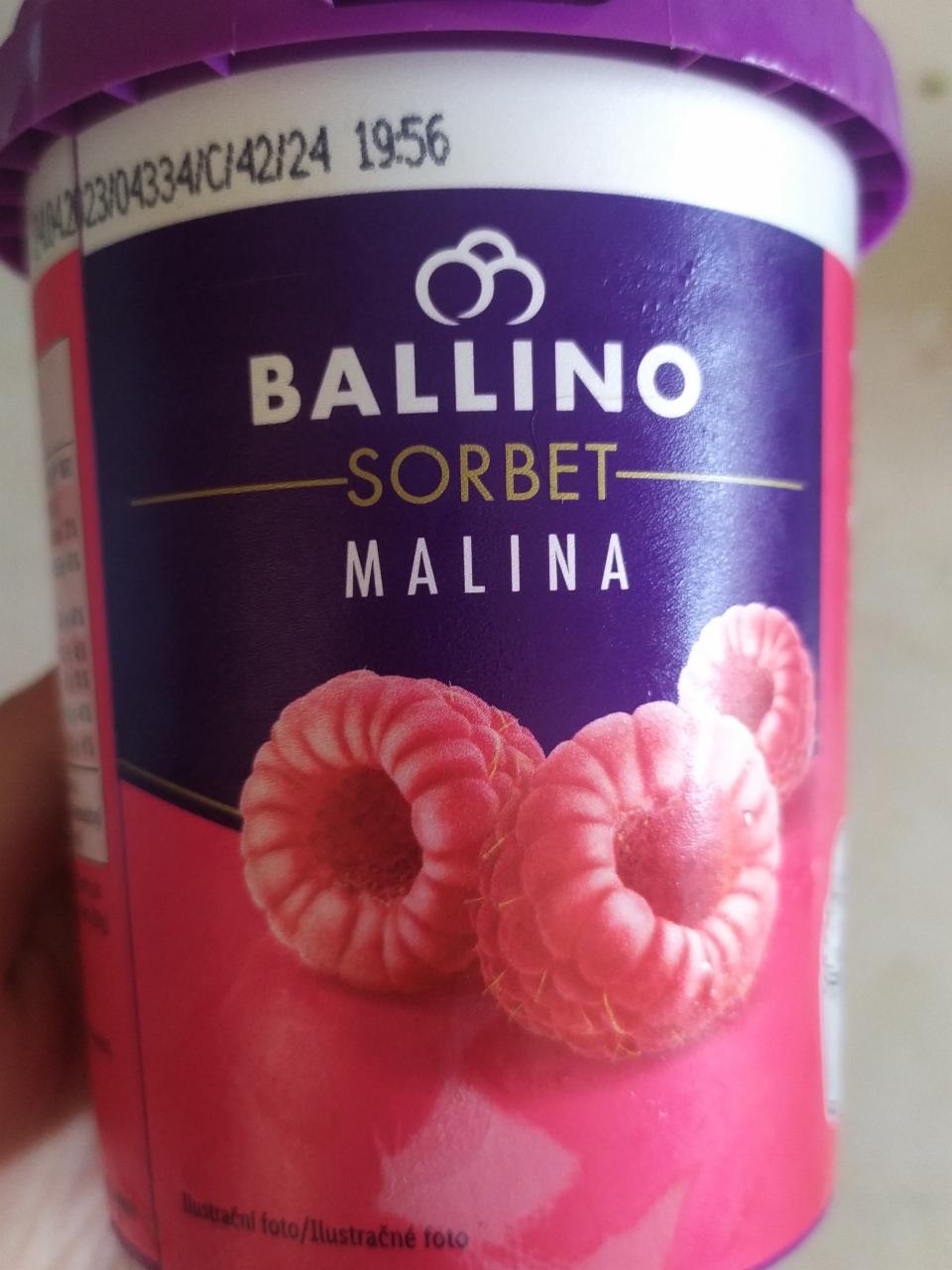 Fotografie - Sorbet raspberry Ballino