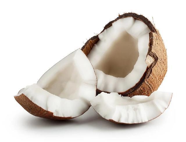 Fotografie - kokosový orech