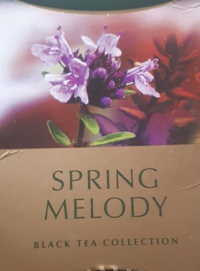 Fotografie - Spring melody čaj Greenfield