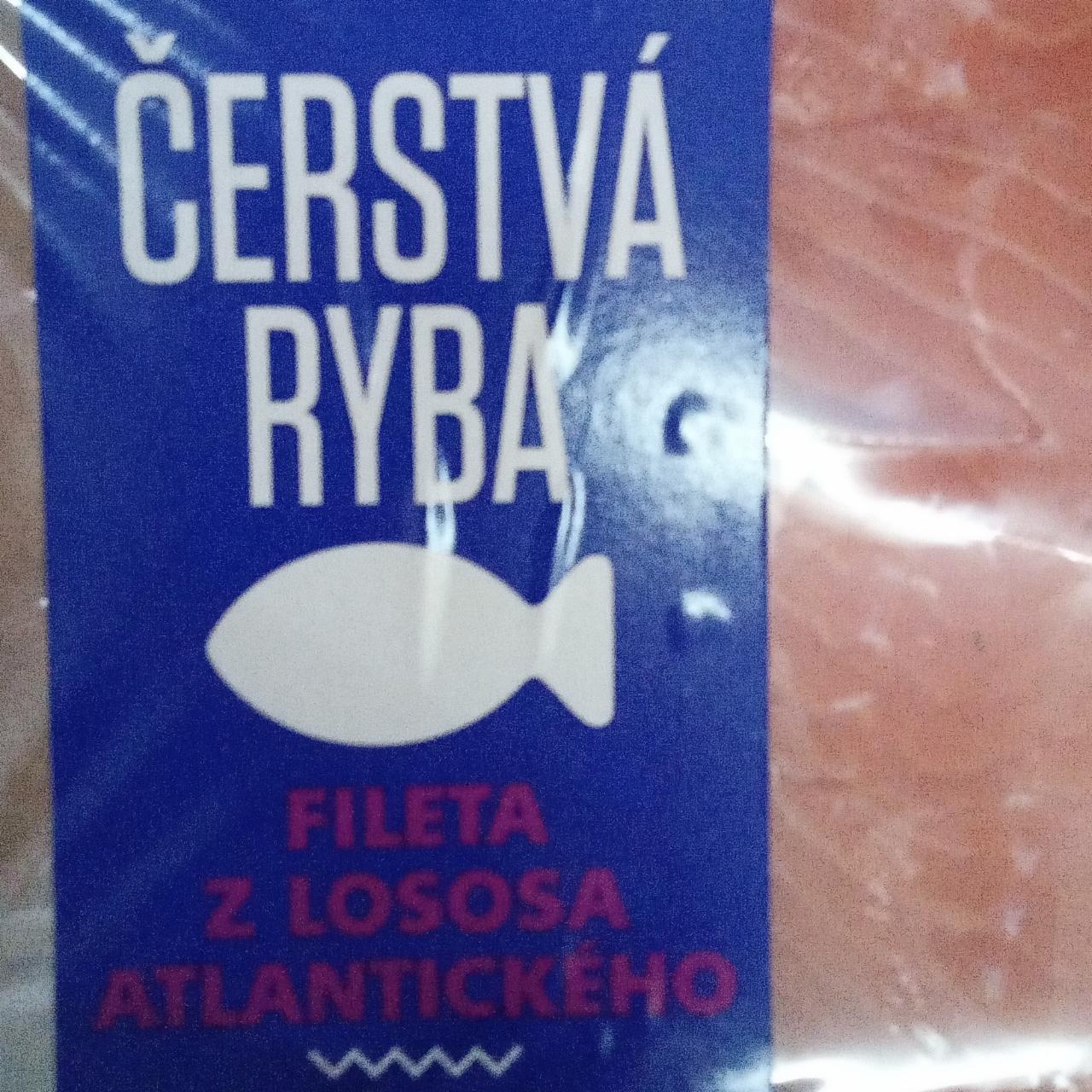 Fotografie - Fileta z lososa atlantického Čerstvá ryba