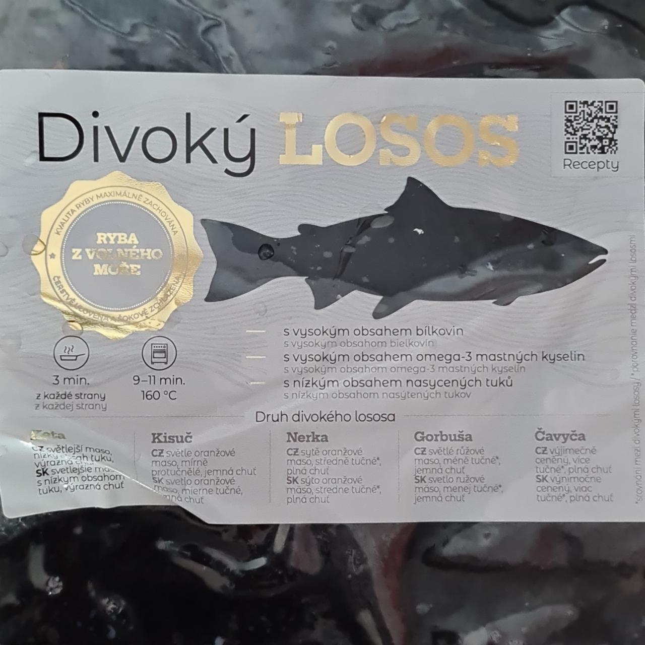 Fotografie - Divoký losos