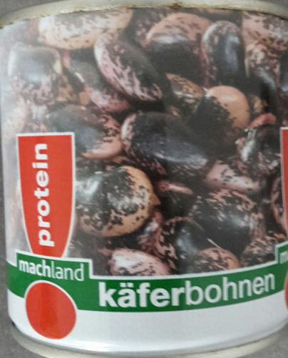 Fotografie - käferbohnen machland